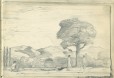 B1987_7_48.jpg