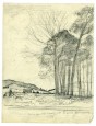 B1981_5_25.jpg