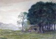 017 Bothy woodland scene 1906.JPG
